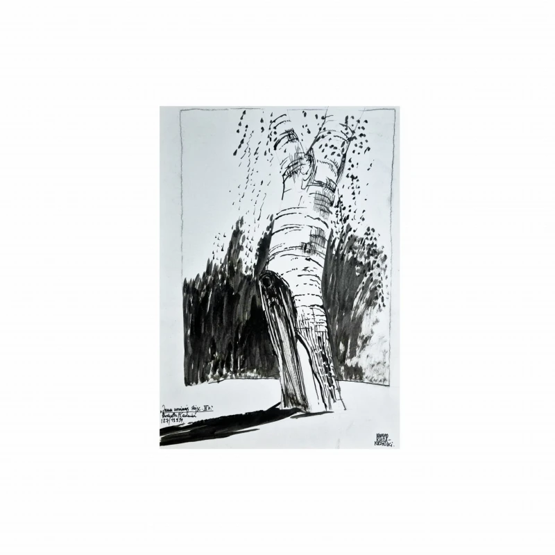 Konrad Kucza Kuczynski Galeria Katarzyny Napiorkowskiej  obrazy  (10).jpg
