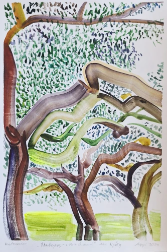 Agapi - Trees. Crete, Greece