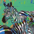 Rafal Gadowski Zebry olej na płótnie  (5).jpg