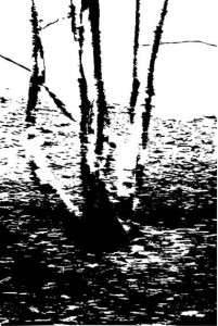 P_D_7548.jpg