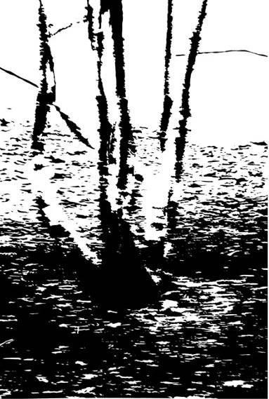 P_D_7548.jpg