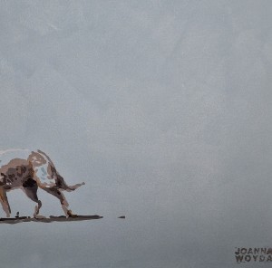 1000110800.jpg